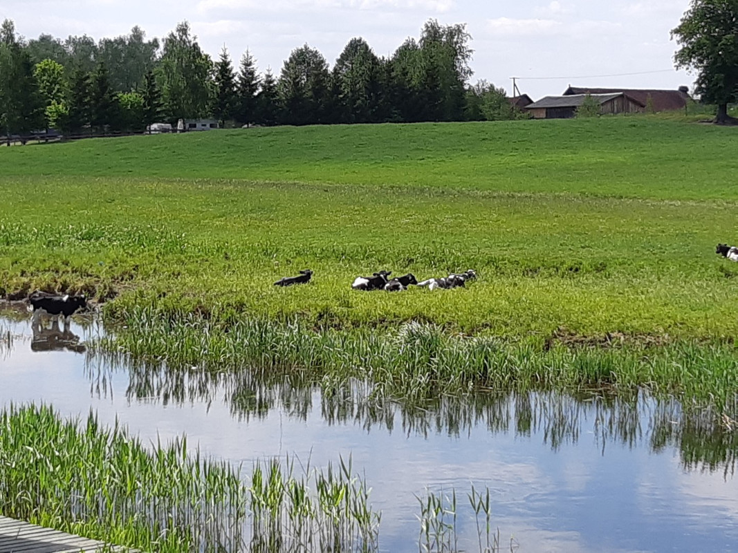 05.11 - 20210602_134943 (PiTT)