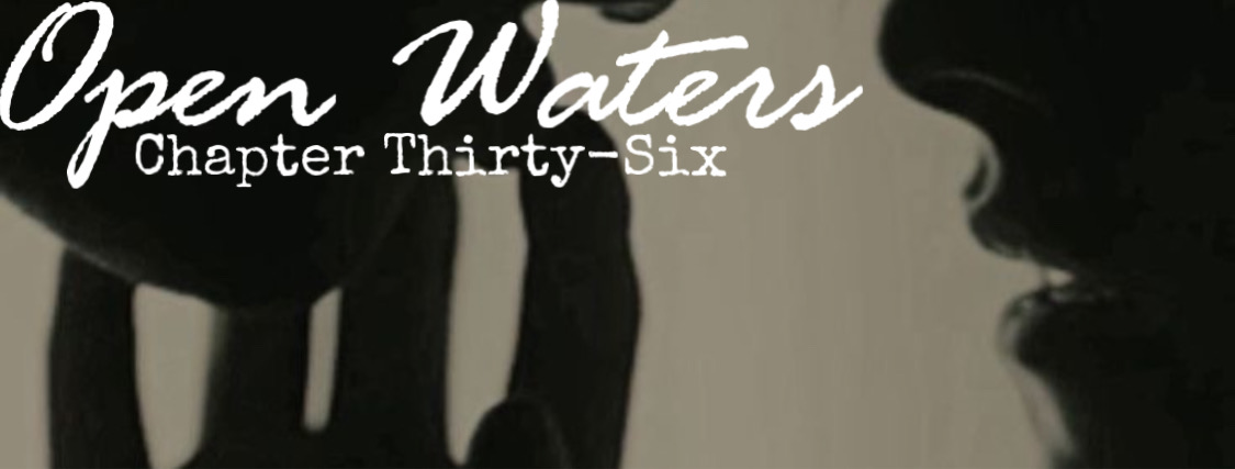 Chapter Thirty Six: Shadowed figures, one touches the others face delicately. 