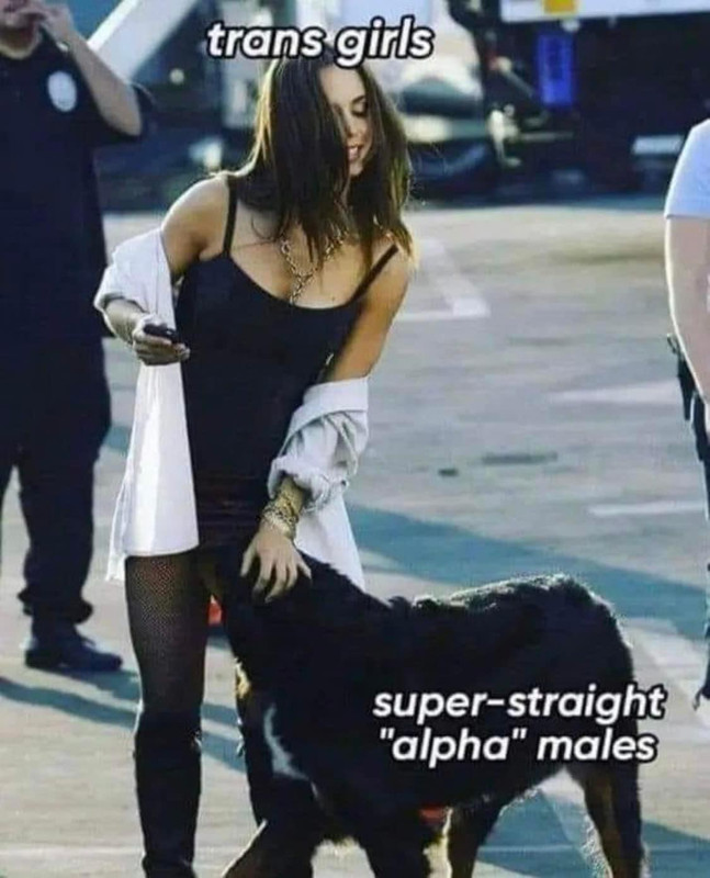 C9B97F3C-AE26-4EE8-B1C0-DBF3FBB5BB21