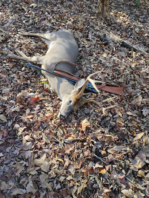 IMG_20250120_095532981