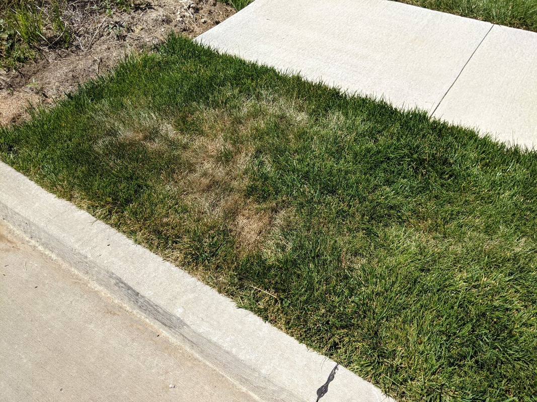 PXL_20210616_194448642