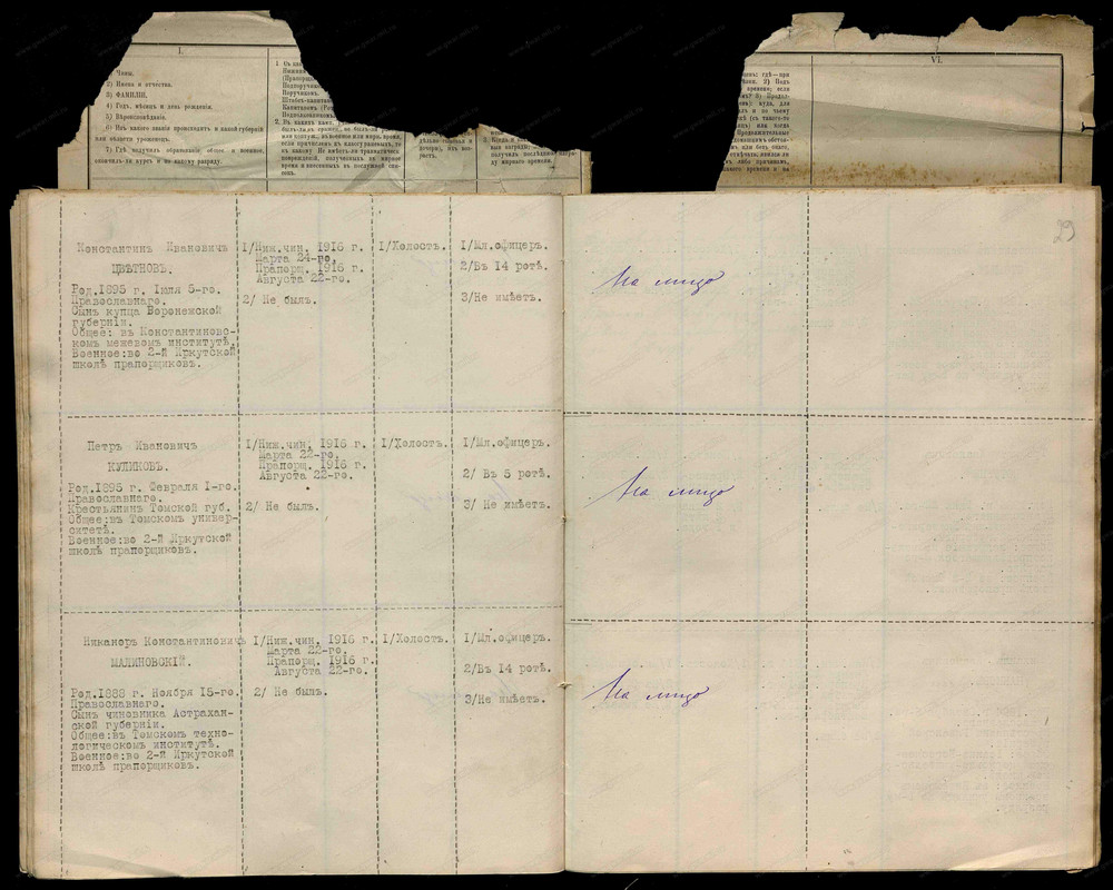 31 СЗСП_31-12-1916