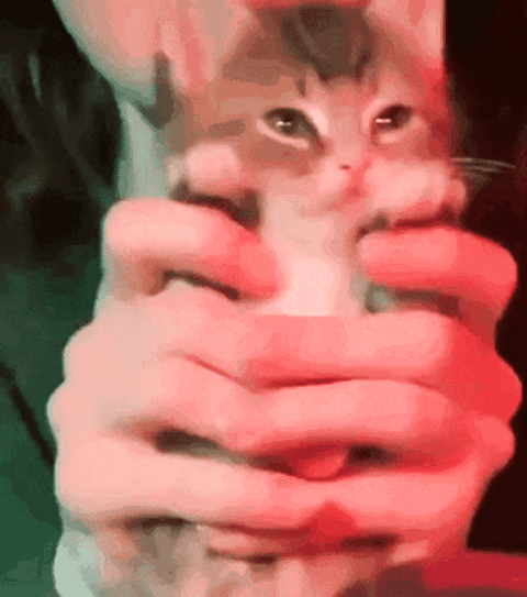 023.gif