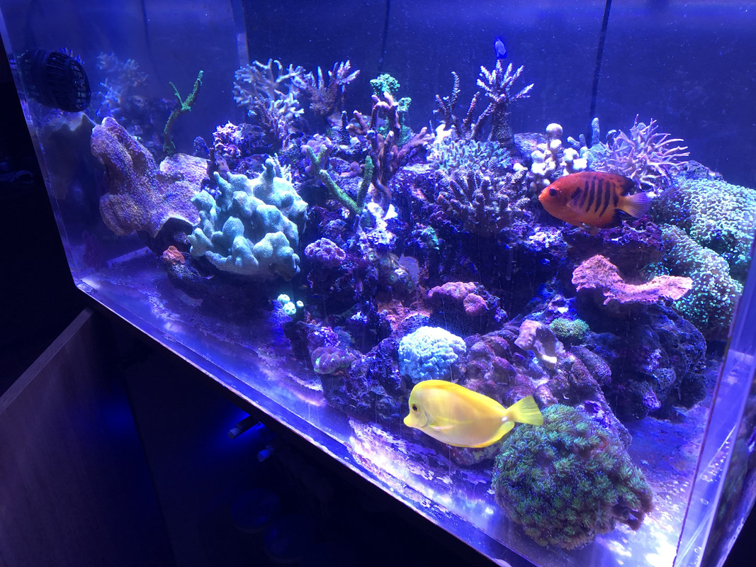 2AF9E03F-73CE-4BCD-8534-383D2DDE0D64