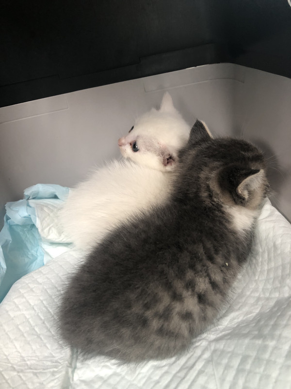 D2A2A02B-B26B-4891-B60B-1EA05061A77C