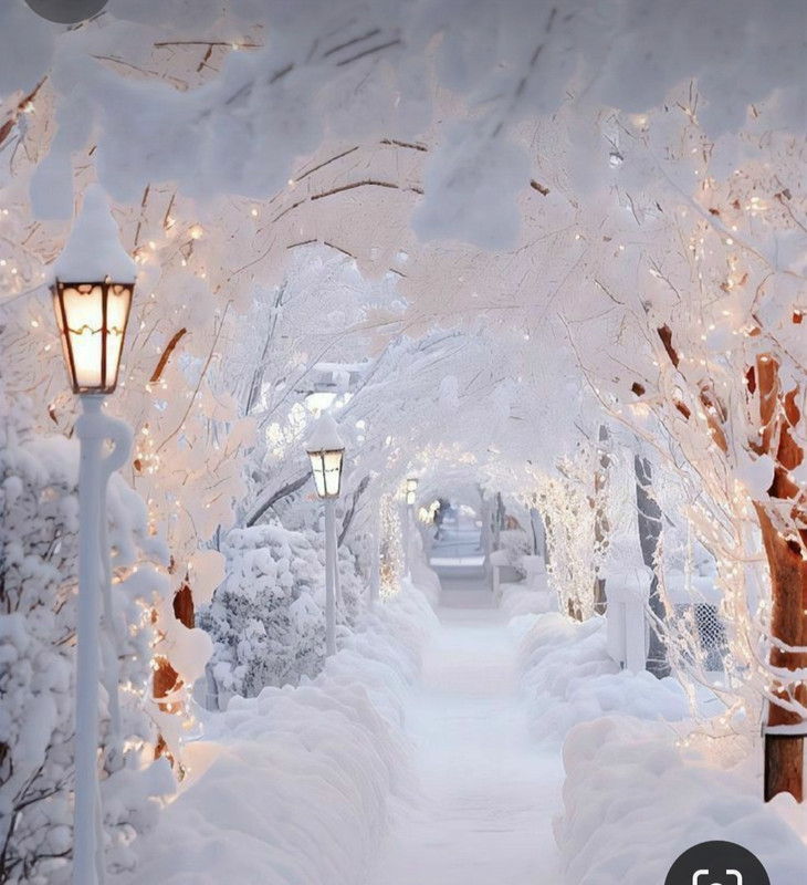 Screenshot_20240113_121511_Pinterest