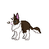 rabbit-m-duch-dark-brown.gif
