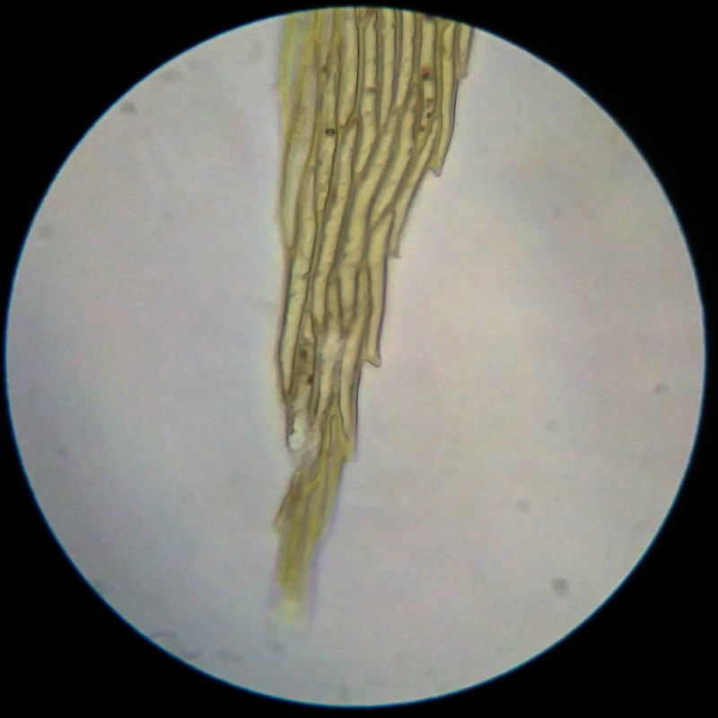 IMG 20250617 105955 HDR