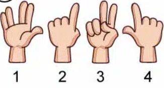 Ekrnuzmums 2025 11 24 003237