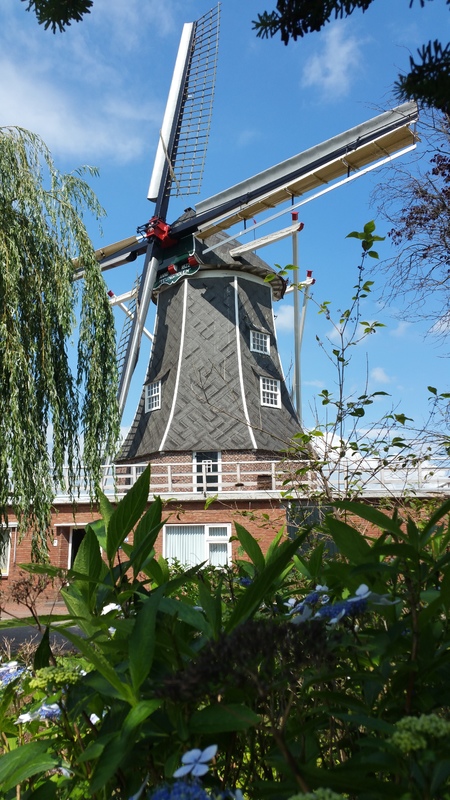 0273 GL (03124) Teunismolen - Dinxperlo 1