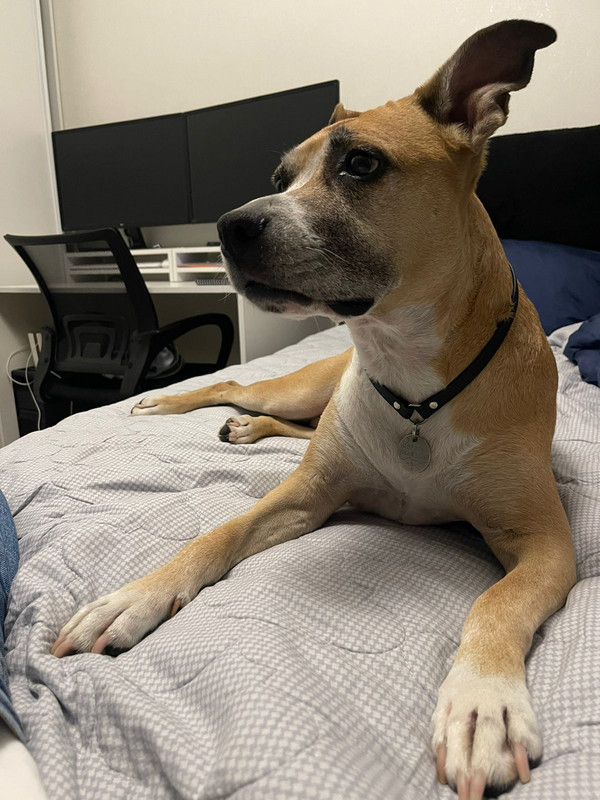 F96C2E39-727B-4DA3-9102-286B2191DC12