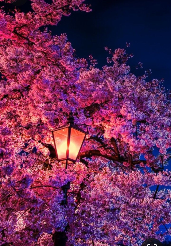 Screenshot_20231006_202831_Pinterest