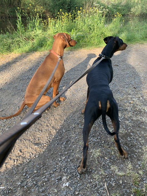 EB31B566-25C2-495D-A355-E05E74B960B6