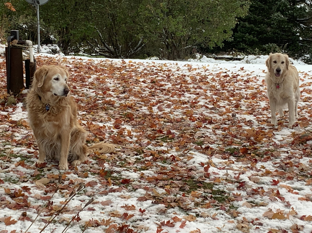 D49CEFAC-95E3-4369-80E1-F7A3A3DD0D03