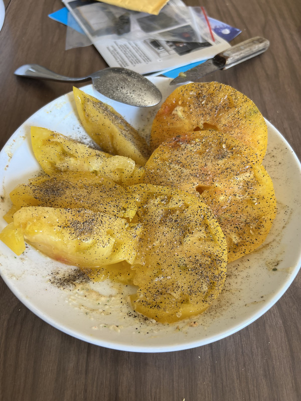 71381708077__E5CC27C0-1C56-4107-83A8-001EB14C6634