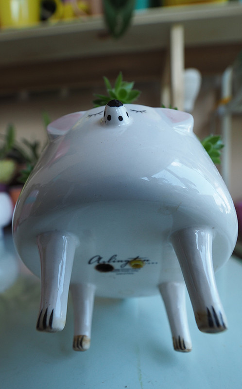 [Image: P5170035.jpg]