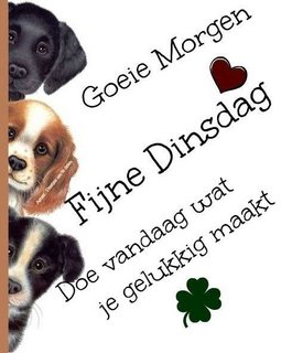 An den Beitrag angehängtes Bild: https://i.postimg.cc/vTPn3w64/261ca13ff019d9a9f4e67bb1bfdc6c7d.jpg