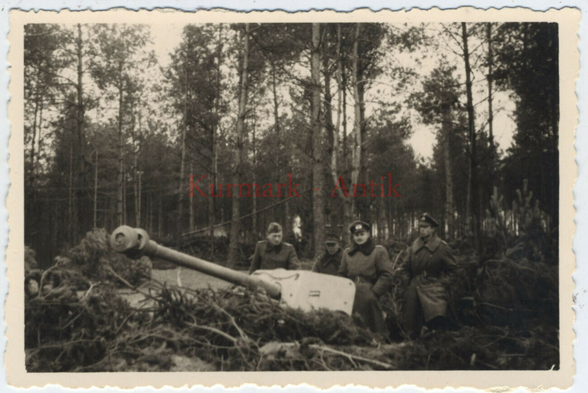 Foto Wehrmacht Panzer Jäger PAK Kanone 7,5cm camo TARN