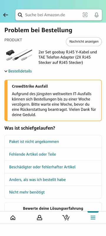 Amazon CrowdStrike-Folgen
