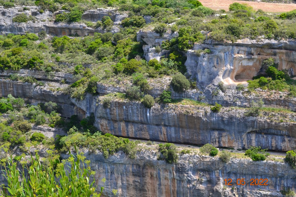 Rallye touristique Occitanie-Terres du Sud, 11-15 mai 2022 DSC-7150