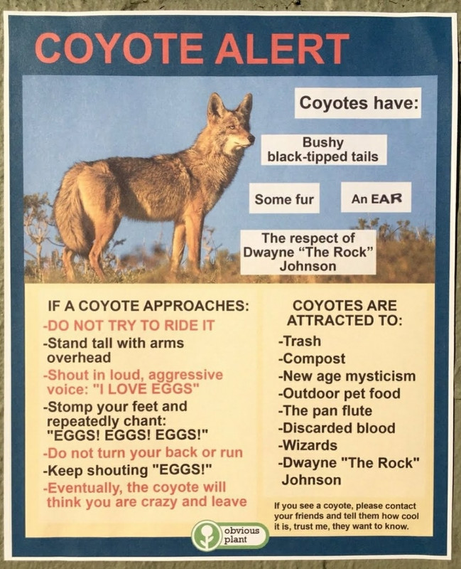 Screenshot 20260124 150158 Photos