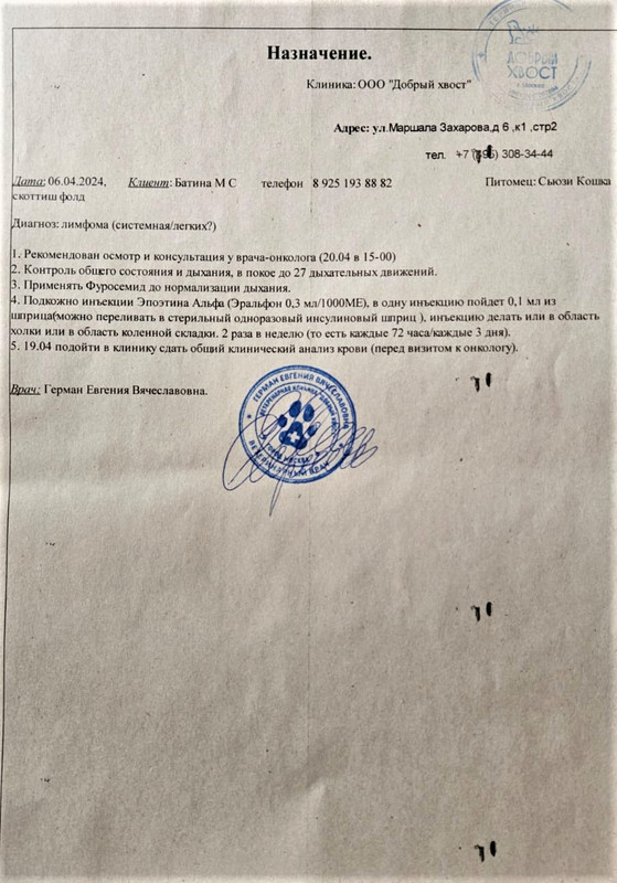 Заключение терапевта 06 04 — Postimages