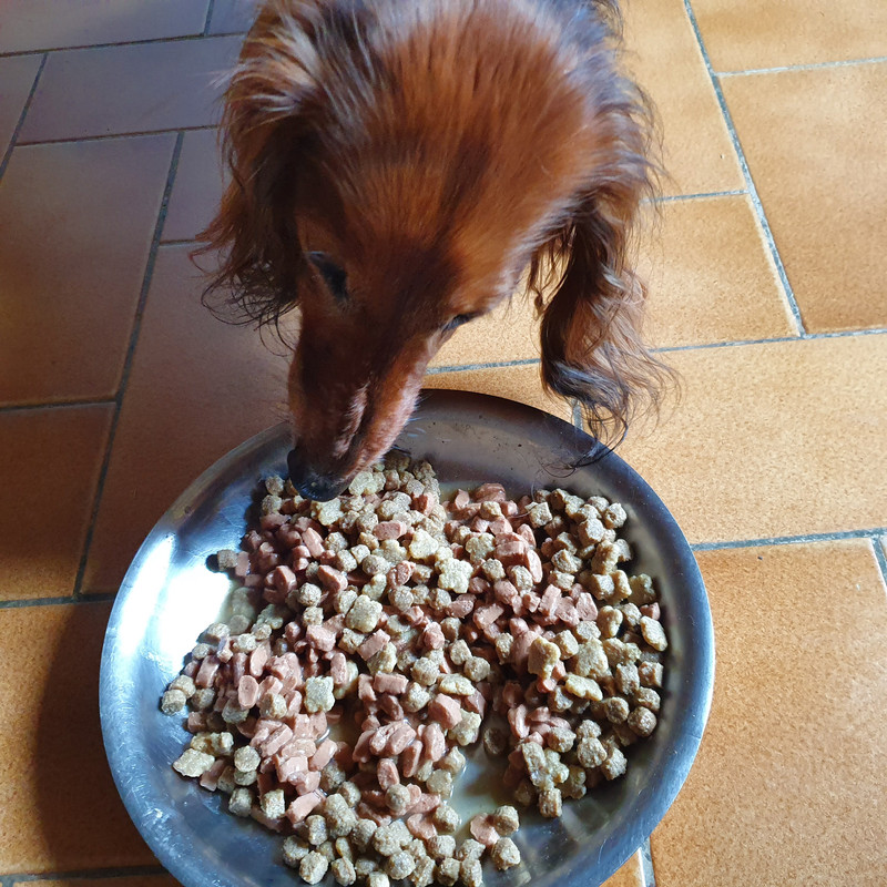 [Image: 20210518-101935.jpg]