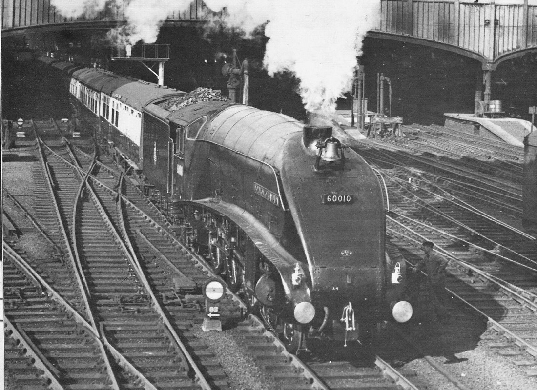 78162411_3878519618841024_6026328931538305024_o