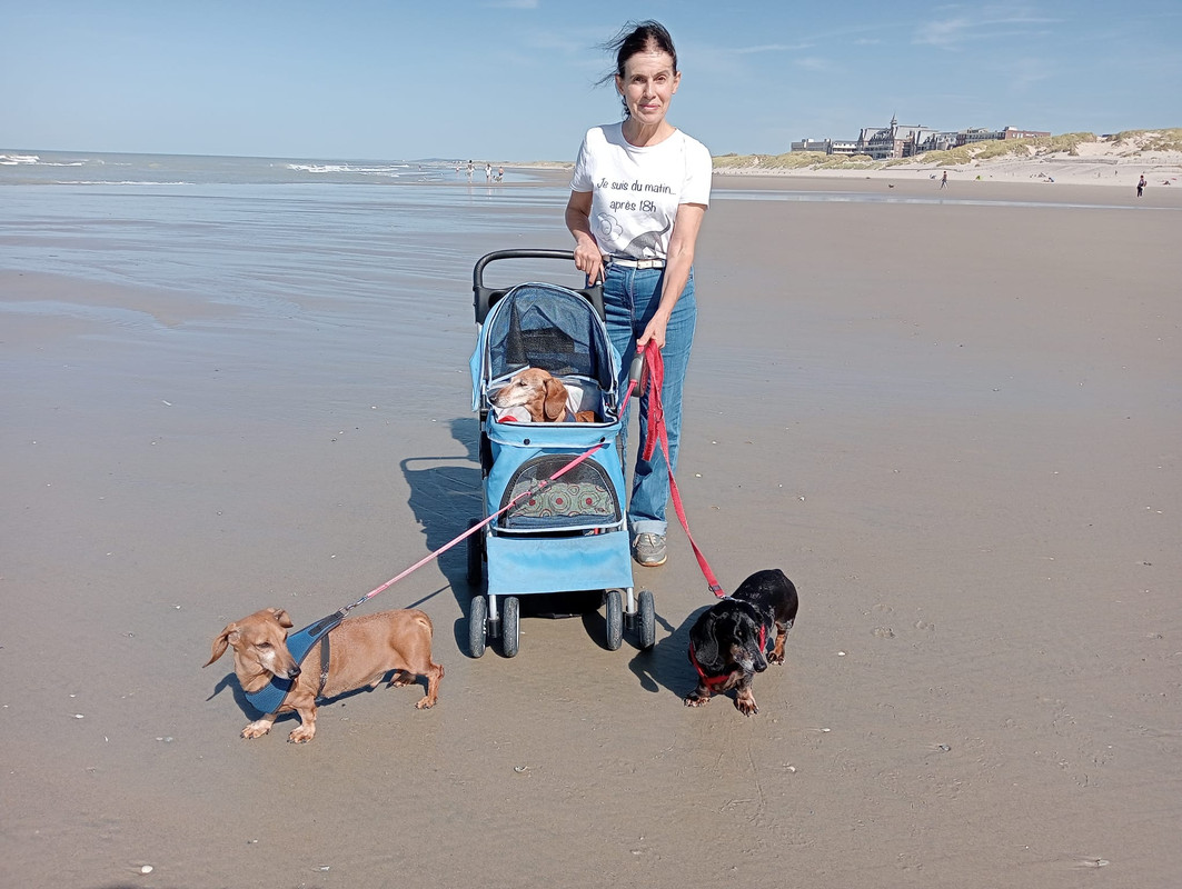 [Image: IMG-20250926-WA0009.jpg]