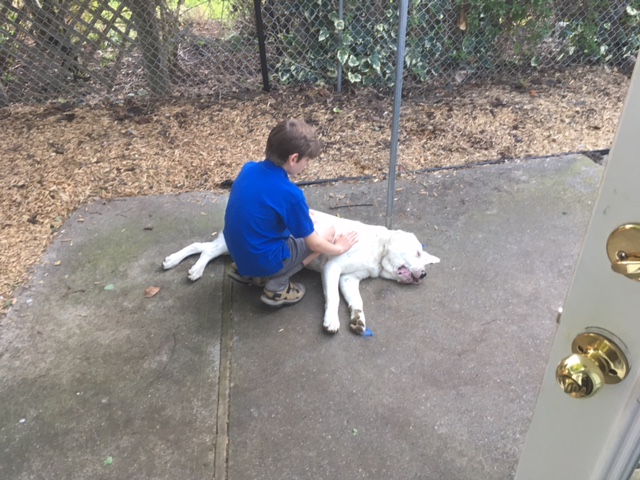 Jaiden saying goodbye to Max April 26 2018