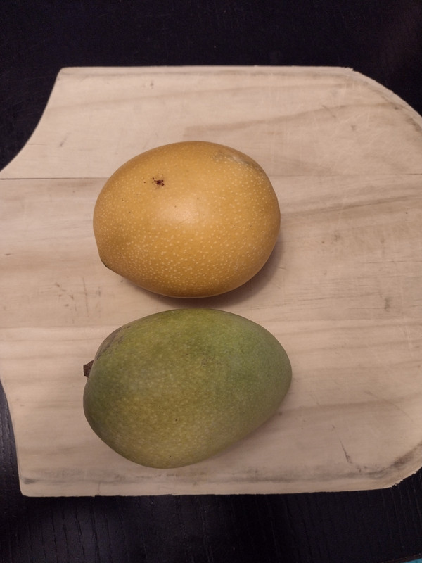 IMG_20210531_113713901_HDR