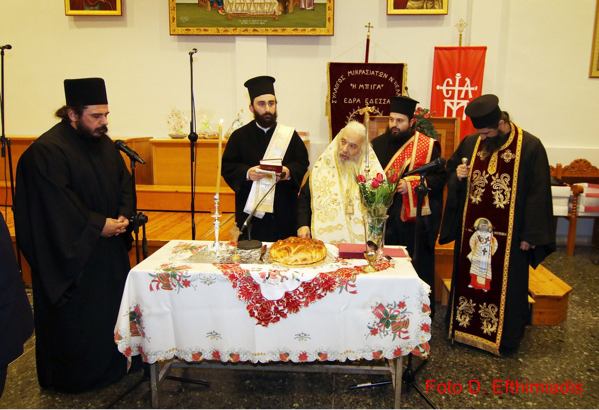 IMGL7769 (Αντιγραφή)