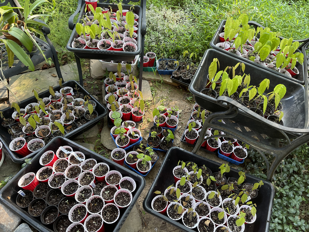 621DCE0B-C736-44E2-AC85-9597D63A81F6