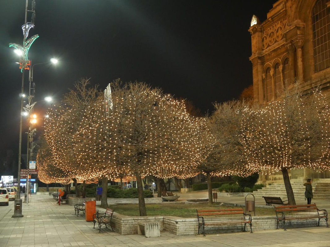 P1090107.jpg