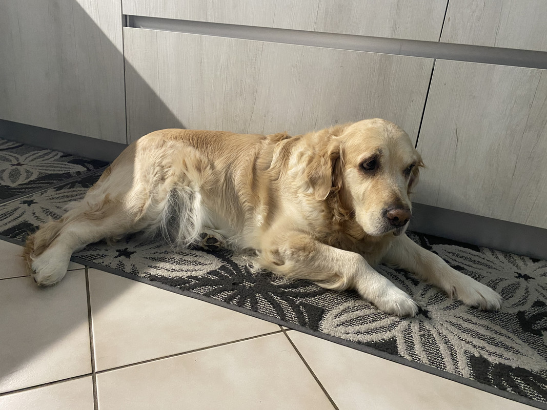 1B485D51-11E2-44C7-8E93-CF70B1715244