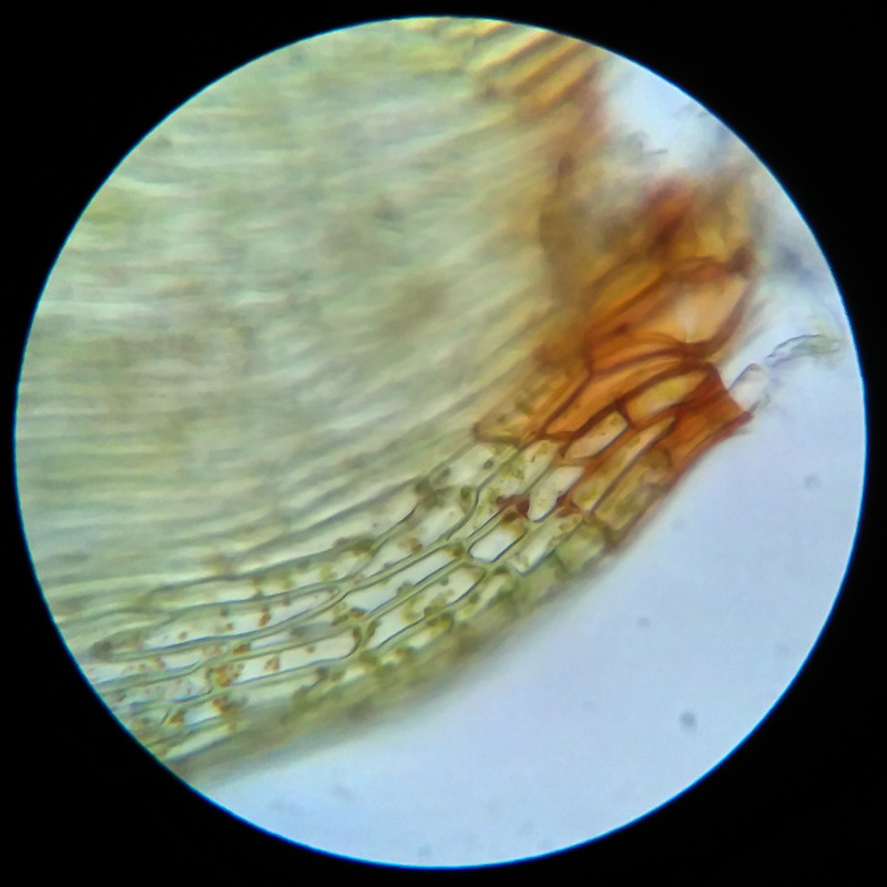 IMG 20250617 112352 HDR