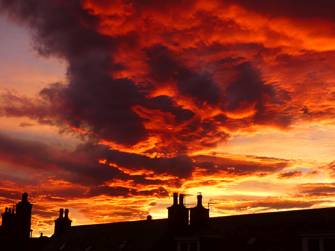 CHRISTMAS EVE SUNSET 1