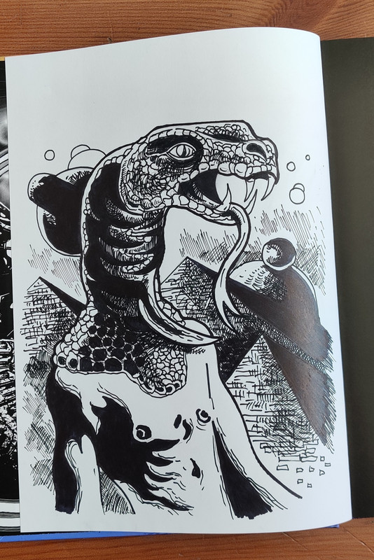 461344712_926078526230905_1955290793221353734_n