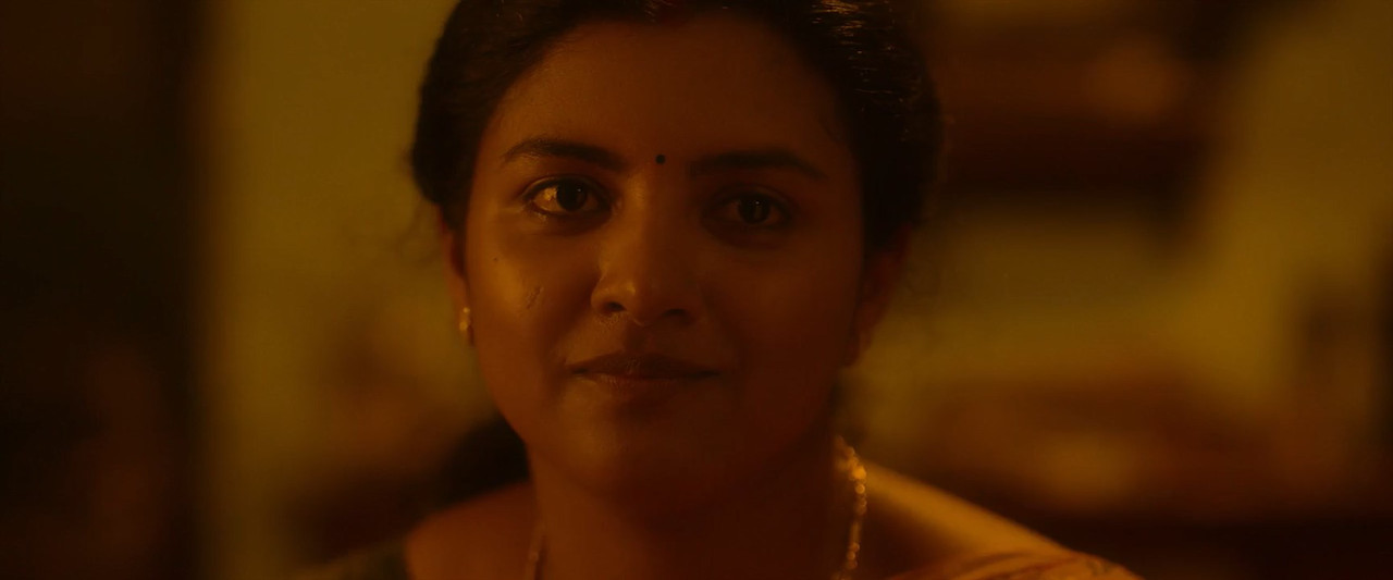 Gentlewoman 2025 WebRip [Hindi + Tamil + Telugu + Malayalam + Kannada] 480p 720p ESub Screenshot