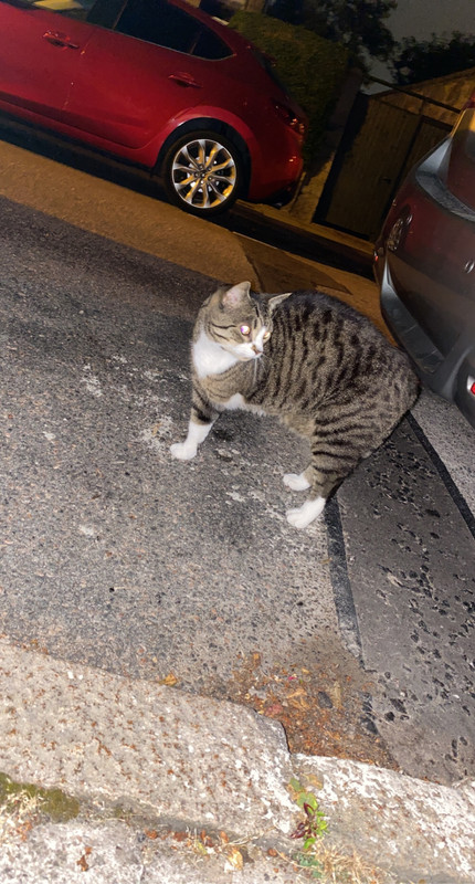 649407F7-3CD4-430F-81BE-86F07DC53CE3