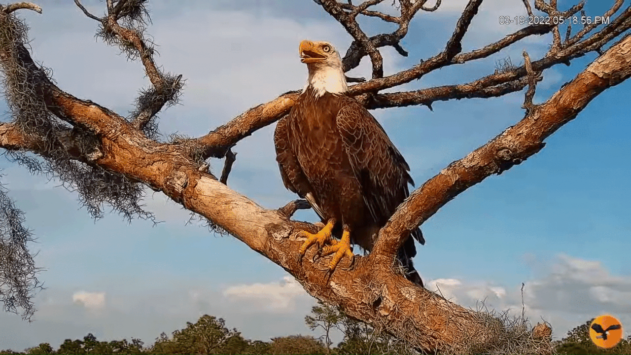 Webp.net-gifmaker (1)