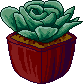 A succulent in a red pot.