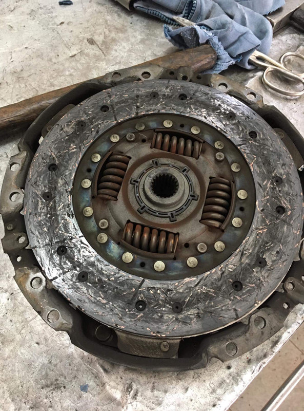 received_10214757854612517