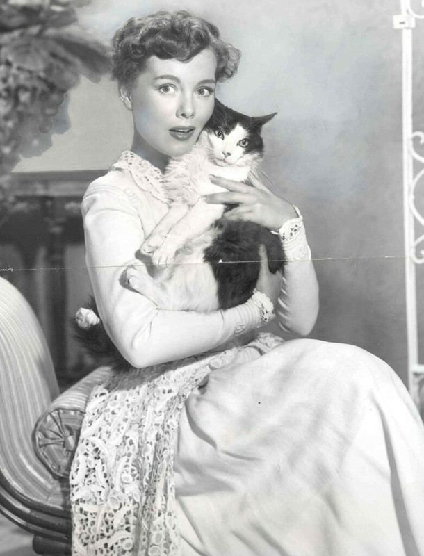 Phyllis-Kirk-1952-Publicity-Photo-With-Her-Cat-Aldous