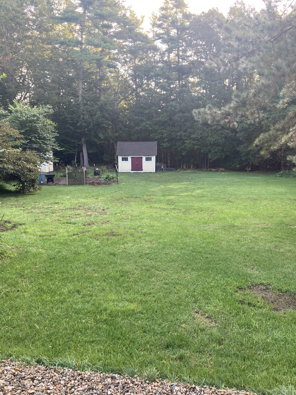 1A73BAF8-77B9-45EA-B5E1-DB5412F71883