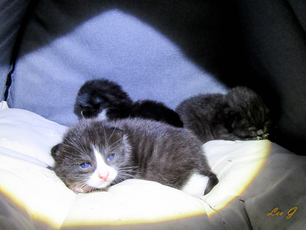 IMG-5168.jpg