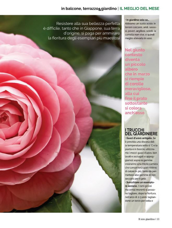 Il Mio Giar Feb-Mar 2022 (4)