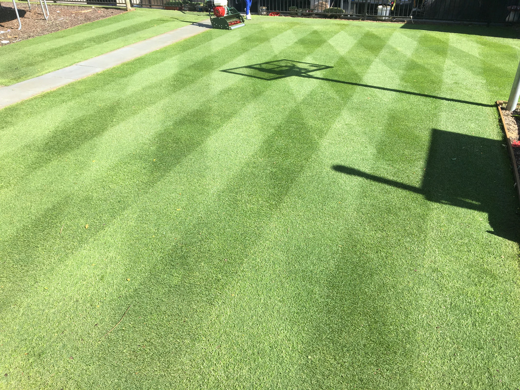 5FBC26DC-E9EB-426B-B5CC-CB74B25F0E25