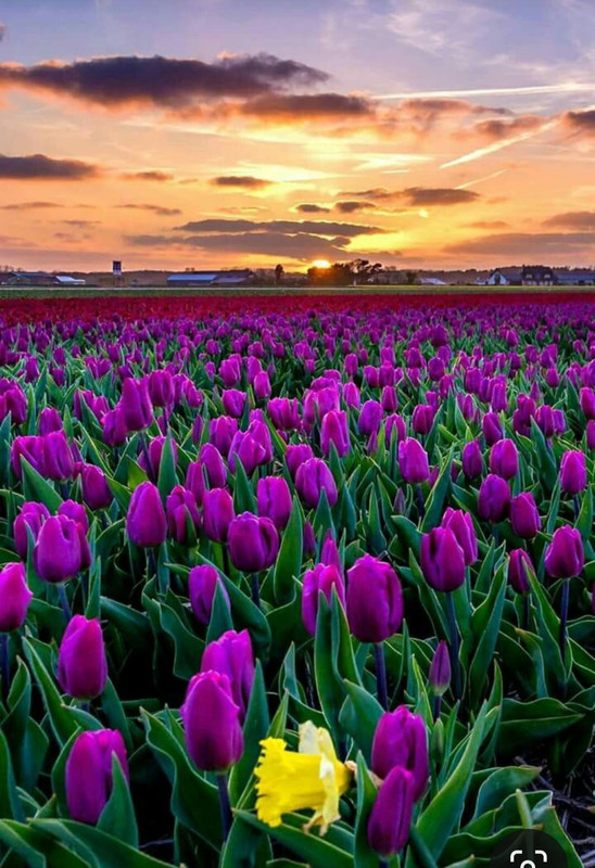 Screenshot_20230514_150935_Pinterest