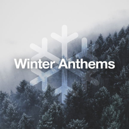 Various Artists - Winter Anthems (2020)